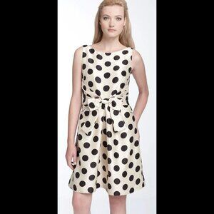 Kate Spade Jillian Polka Dot Dress (Size 8)